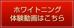 体験動画はこちら